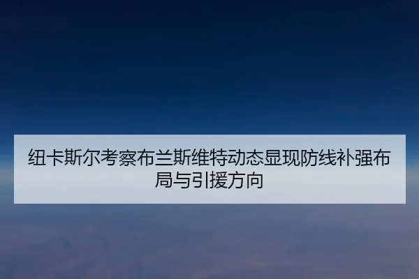 纽卡斯尔考察布兰斯维特动态显现防线补强布局与引援方向